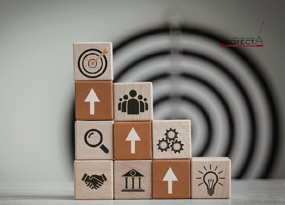 Consultoría Política — Planificación estratégica electoral y análisis de coyuntura política